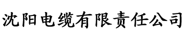 中文字幕日韩精品有码视频电缆厂logo